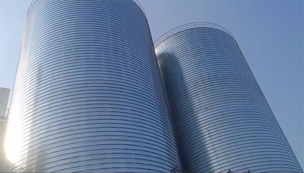 安居2座混凝土高架卷板仓